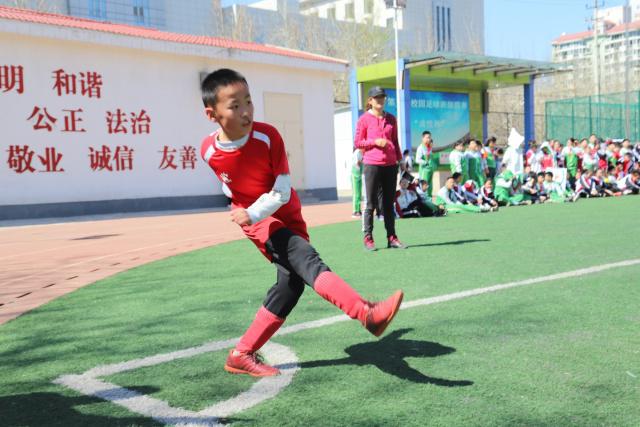 彭伟国：支持徐彬留洋破局方为少年正道 关键在实力与适应